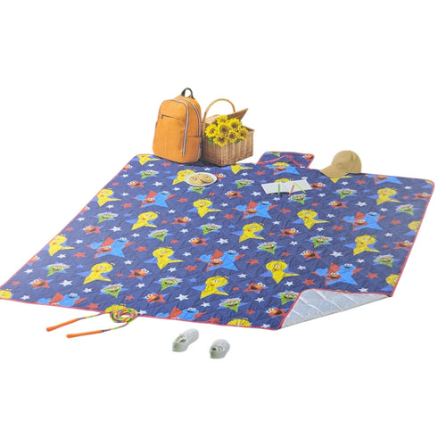 ELMO SESAME STREET OUTDOOR FAMILY PICINIC MAT BLANKET 79" X 79" Friends