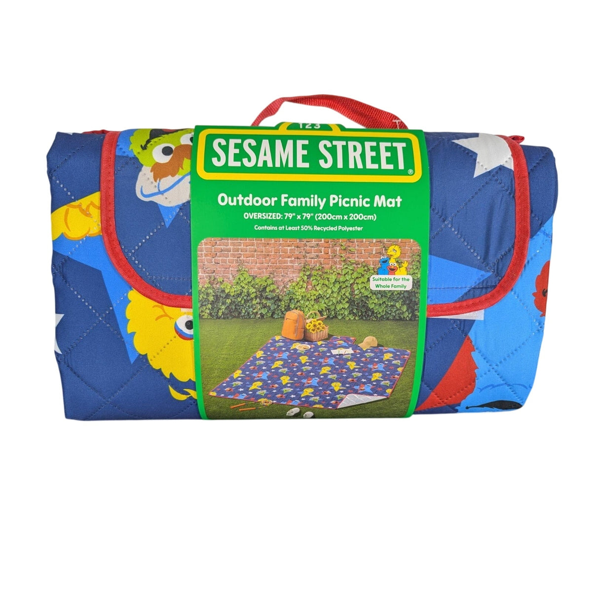 ELMO SESAME STREET OUTDOOR FAMILY PICINIC MAT BLANKET 79" X 79" Friends