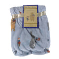 Winnie The Pooh Bear Collection Baby Blanket Pooh Friends 4th July 30x40, Ice Cream