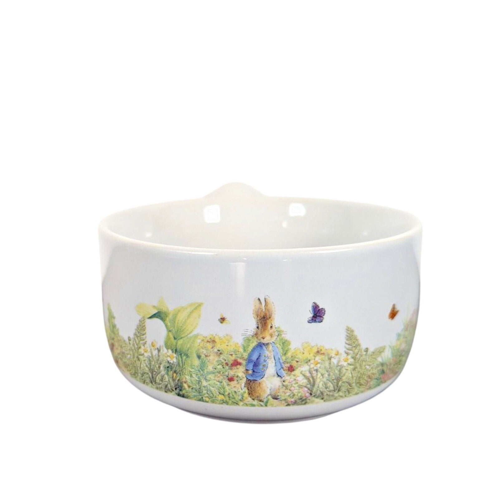 Peter RABBIT EASTER Soup Sauce Kitchen Bowl With Handgrip Ceramic New