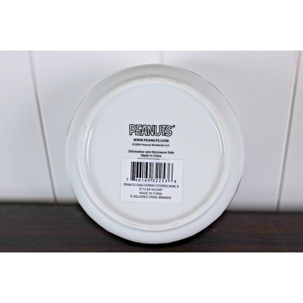 Peanuts Snoopy Gang Pressure Vent Lid Food Storage Container Bowl Ceramic 5" NEW