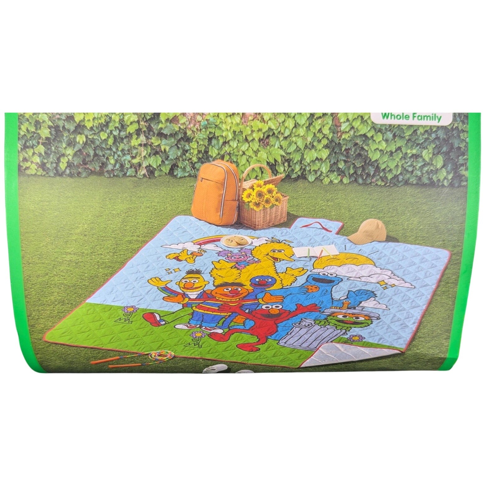 ELMO SESAME STREET OUTDOOR FAMILY PICINIC MAT BLANKET 79" X 79" Friends